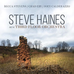 the album cover for Steve Haines & Third Floor Orchestra - Steve Haines And The Third Floor Orchestra