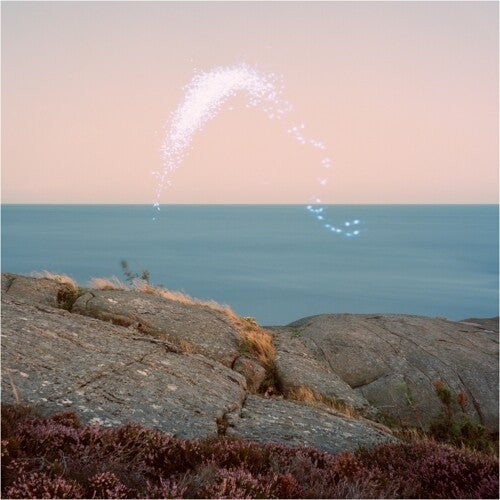 Cassandra Jenkins - Una visión general de la naturaleza fenomenal (Vinilo)