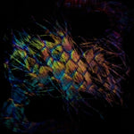 Vaura - Sables (ビニールレコード)