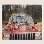 Efrim Manuel Menuck - Are Sing Sinck Sing (Vinyl)