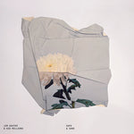 Kid Millions - Safe & Sane (Vinyl)