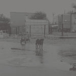 Nivhek - After Its Own Death / Walking In A Spiral Towards The House (Vinyl)