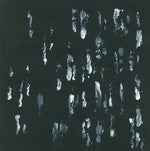 Sightings - Amusers and Puzzlers(ビニールレコード)