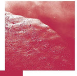 David Allred - Cell (Vinyl)