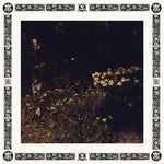 the album cover for Sarah Davachi - Pale Bloom