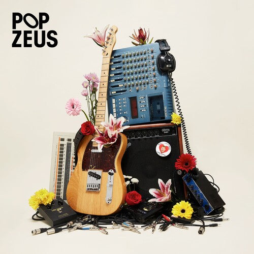 Pop Zeus - This Doesn't Feel Like Home (未発表デモ 2011-2014) (レコード)