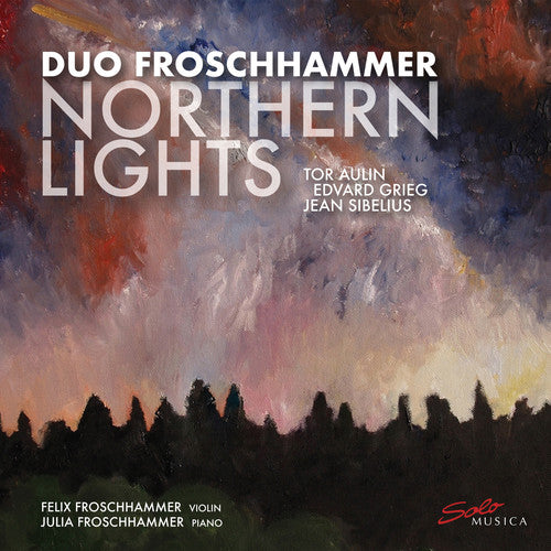 the album cover for Aulin / Duo Froschhammer - Northern Lights