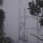 the album cover for Photay - On Hold