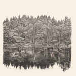 フレッチャー・タッカー - アンリット・トレイル (ビニール盤)