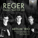 the album cover for Reger / Artium Trio - Piano Trio 102