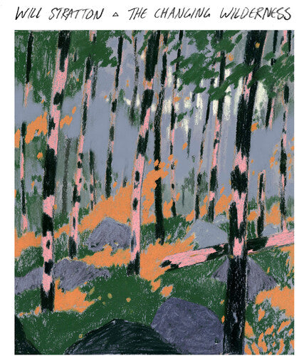 Will Stratton - El desierto cambiante (Vinilo)