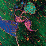 グレイヴ・フラワーズ・ボンゴ・バンド - Strength Of Spring (レコード)