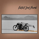 the album cover for Fastest Land Animal - Fastest Land Animal