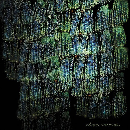 Clan Caiman - Asoma (Vinyl)