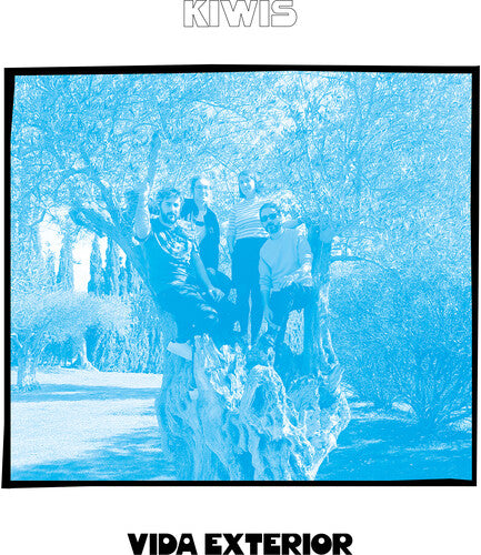 キウイ - Vida 外装(ビニール)