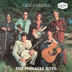 the album cover for Pinnacle Boys - I See A Bridge (Mod)