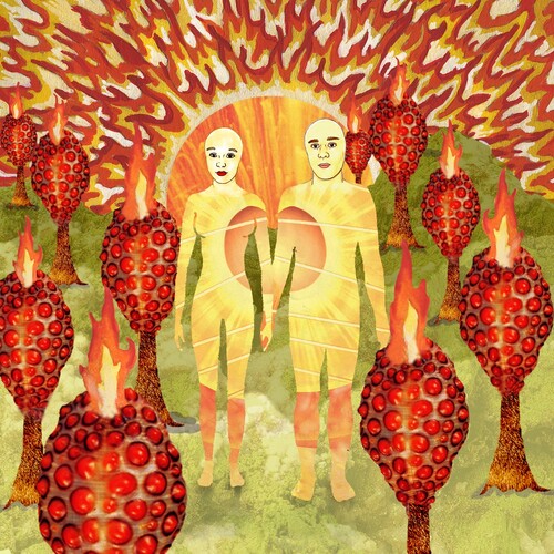 Of Montreal - The Sunlandic Twins (Vinyl)