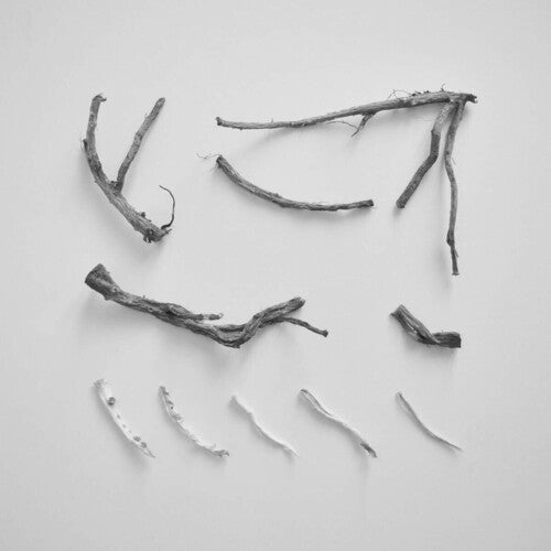 Richard Skelton - These Charms May Be Sung Over A Wound (Vinyl)