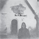 the album cover for ShitKid - Sort Stjerne (Gate)