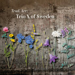 Varios artistas - Trad Arr (CD)