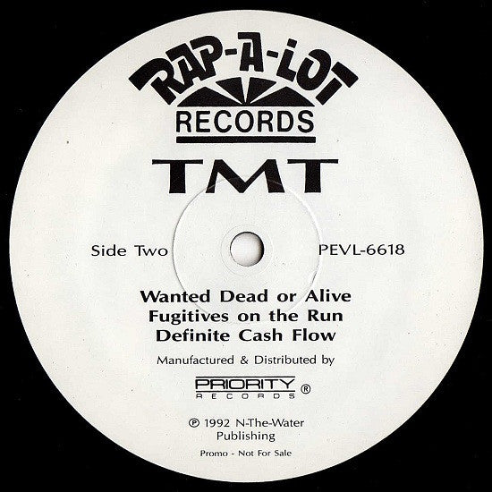 TMT* : Take The Pussy (12", Promo)