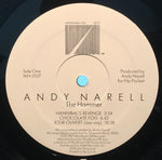 Andy Narell : The Hammer (LP, Album)