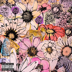 Maroon 5 - Jordi (CD)