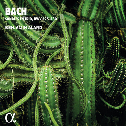 Benjamin Alard - Trio Sonatas for Organ (CD)