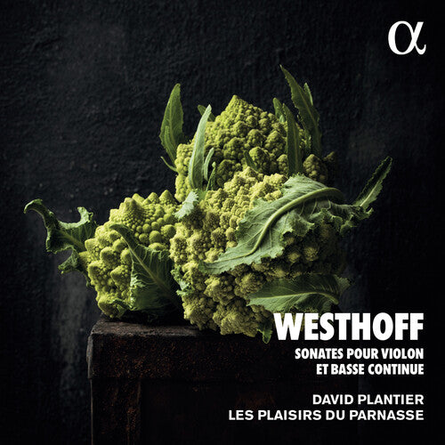 Plantier Les Plaisirs Du Parnasse - Sonates Pour Violon (CD)