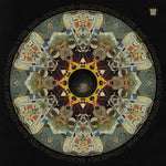 Bacao Rhythm & Steel Band - Expansions (Vinyl)