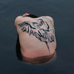 the album cover for Jodi - Blue Heron