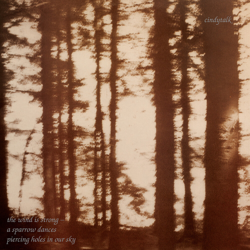 the album cover for Cindytalk - Wind Is Strong