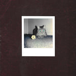 ペナルティキック時のゴールキーパーの不安 - Ways of Hearing (Vinyl)