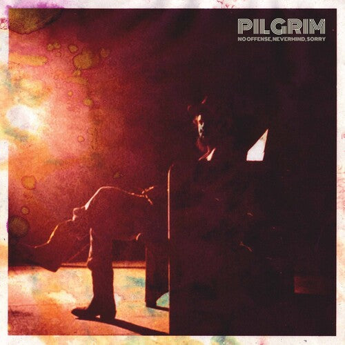 Peregrino - Sin ofender, no importa, lo siento (CD)