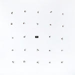 Ian William Craig - Split Series #24 (Vinyl)