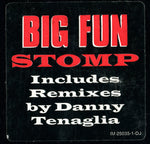 Big Fun* : Stomp (12", Promo)