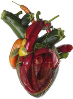 カーカス - Torn Arteries (CD)