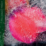 Fake Laugh & Tarquin - Fake Laugh & Tarquin (Vinyl)