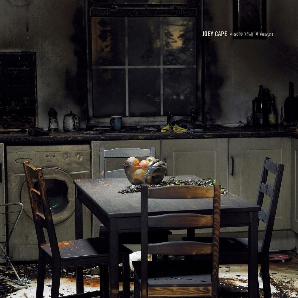 the album cover for Joey Cape - A Good Year to Forget