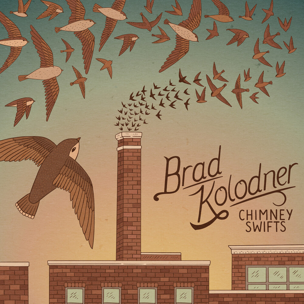 the album cover for Brad Kolodner - Chimney Swifts