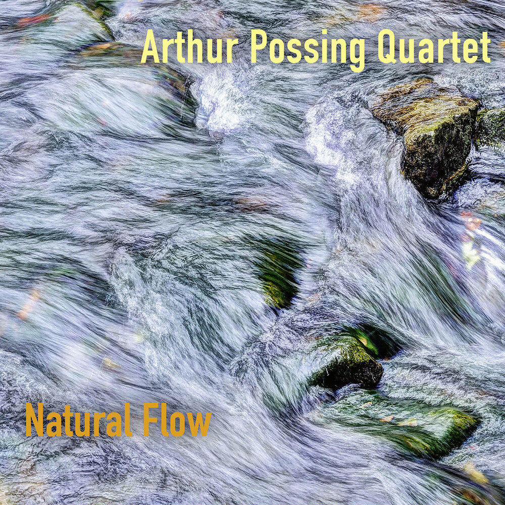 the album cover for Arthur Possing Quartet - Natural Flow