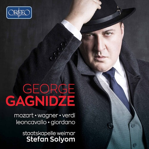 Various Artists - Opera Arias (CD)