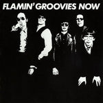 the album cover for Flamin' Groovies - Now