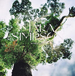 the album cover for Mara Simpson - In This Place (Uk)