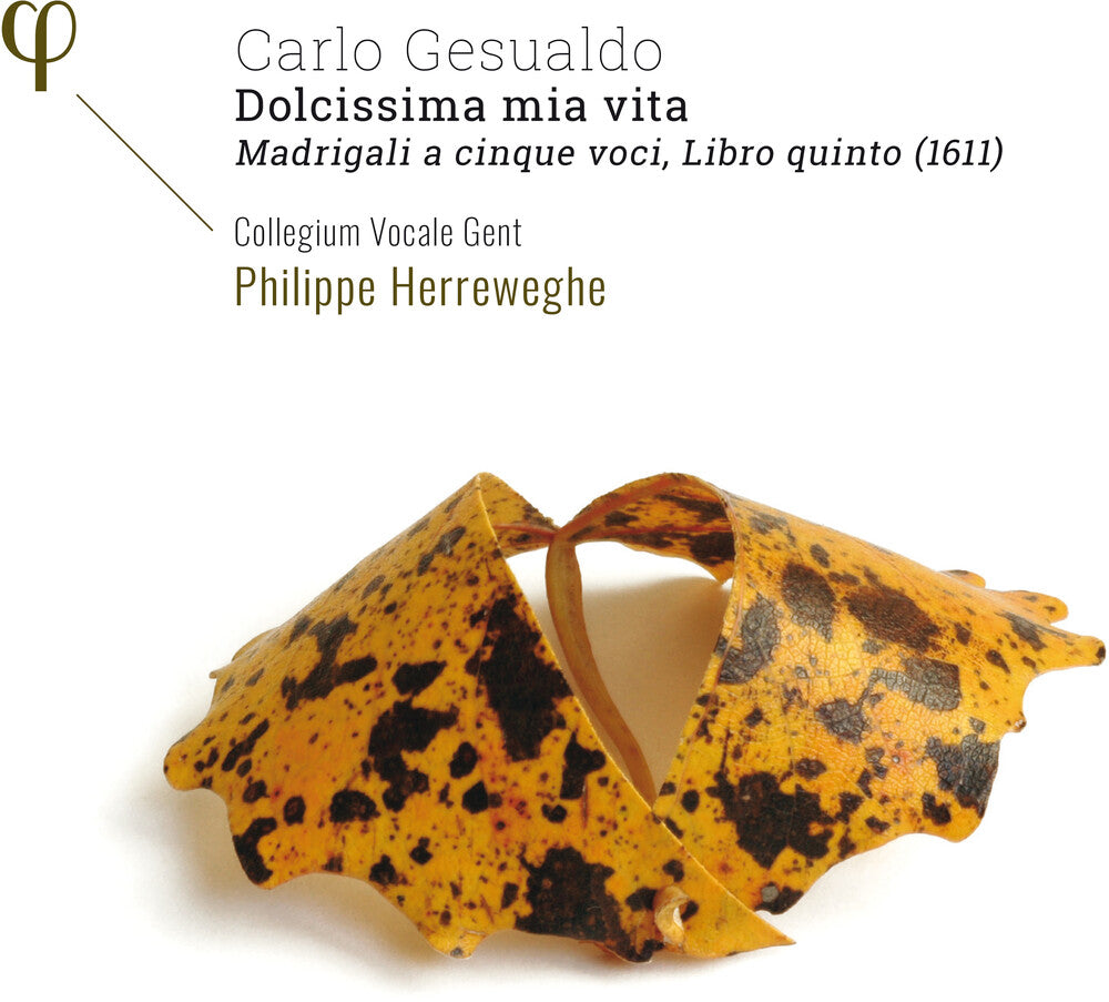 the album cover for Gesualdo / Collegium Vocale Gent / Herreweghe - Dolcissima Mia Vita