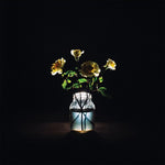 ビリー・ストリングス - リニューアル(レコード)