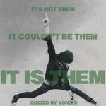 Guided by Voices - It's Not Them. It Couldn't Be Them. It Is Them! (Vinyl)