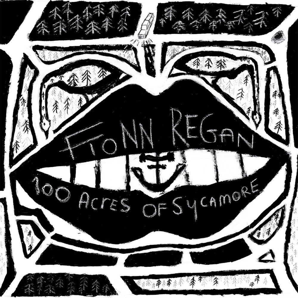 the album cover for Fionn Regan - 100 Acres Of Sycamore