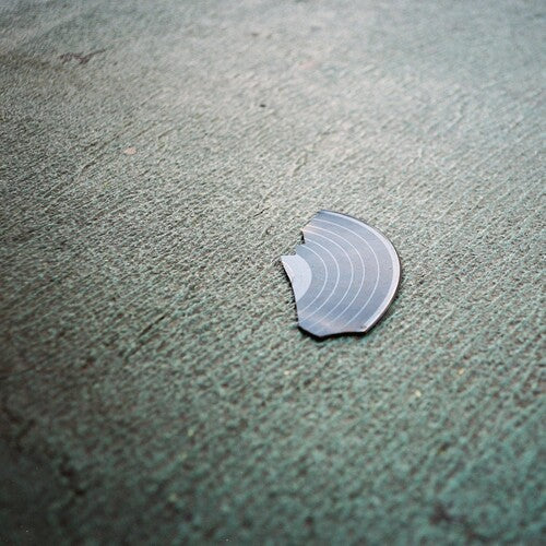 彼らは巨人かもしれない - 本(ビニールレコード)