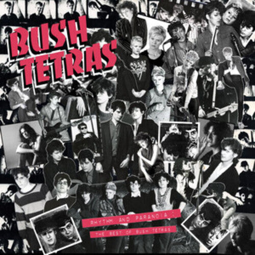 Bush Tetras - Rhythm & Paranoia: The Best of Bush Tetras (Vinyl)
